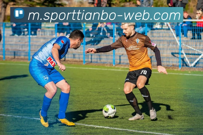 天博体育APP 体育赛事宣传图